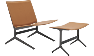 A529