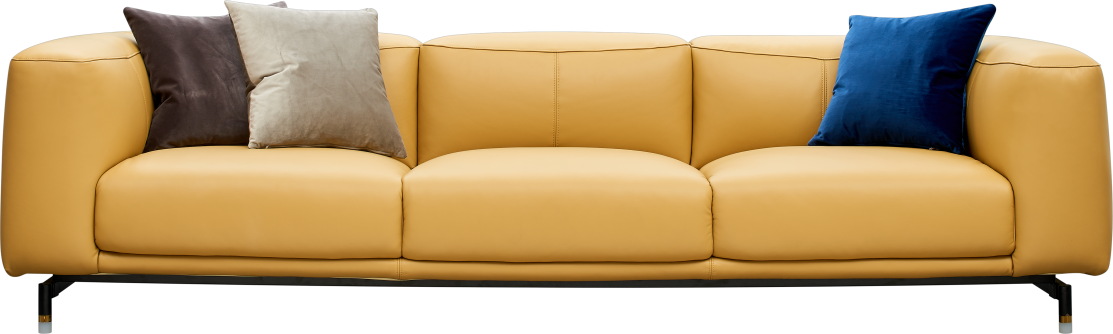 S204